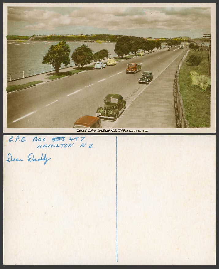 New Zealand Auckland Old RP Colour Postcard Tamaki Drive Street Scene Motor Cars