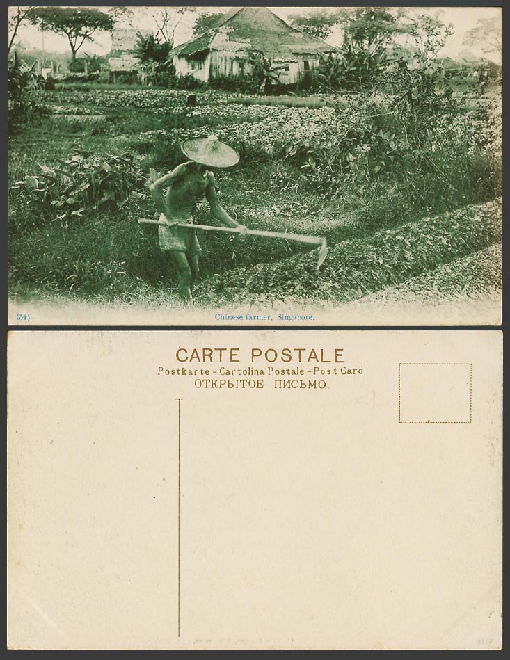 Singapore Old Postcard Chinese Farmer at Work, Farmhouse Agriculture Ethnic Life