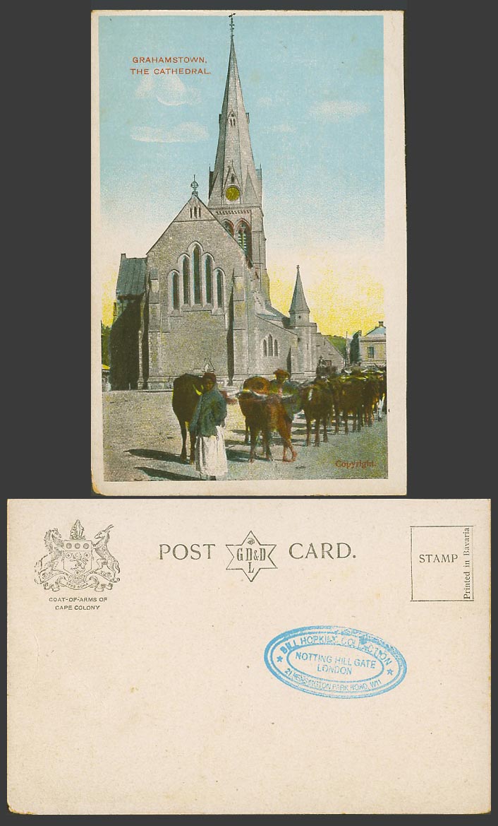 South Africa Old Postcard Grahamstown Cathedral Church Clock Tower Cattle Street