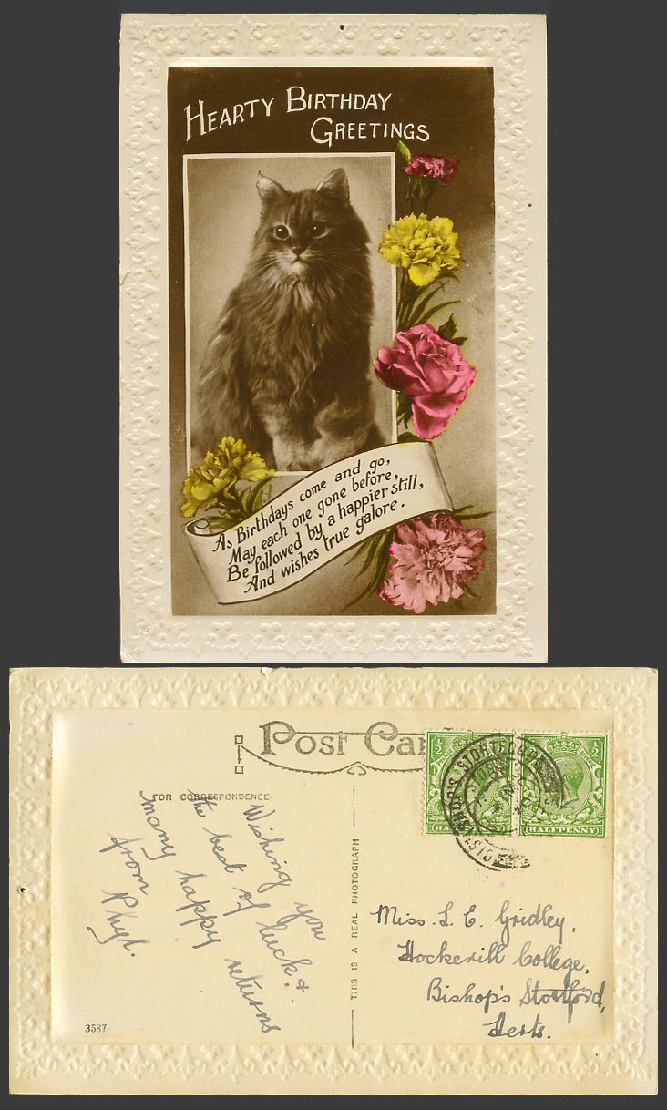 Cat Kitten Carnation Flowers Happy Birthday Greetings 1930 Old Embossed Postcard