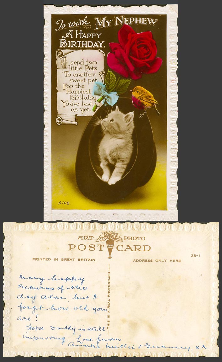 Cat Kitten in a Hat Robin Bird Rose Flower My Nephew Happy Birthday Old Postcard