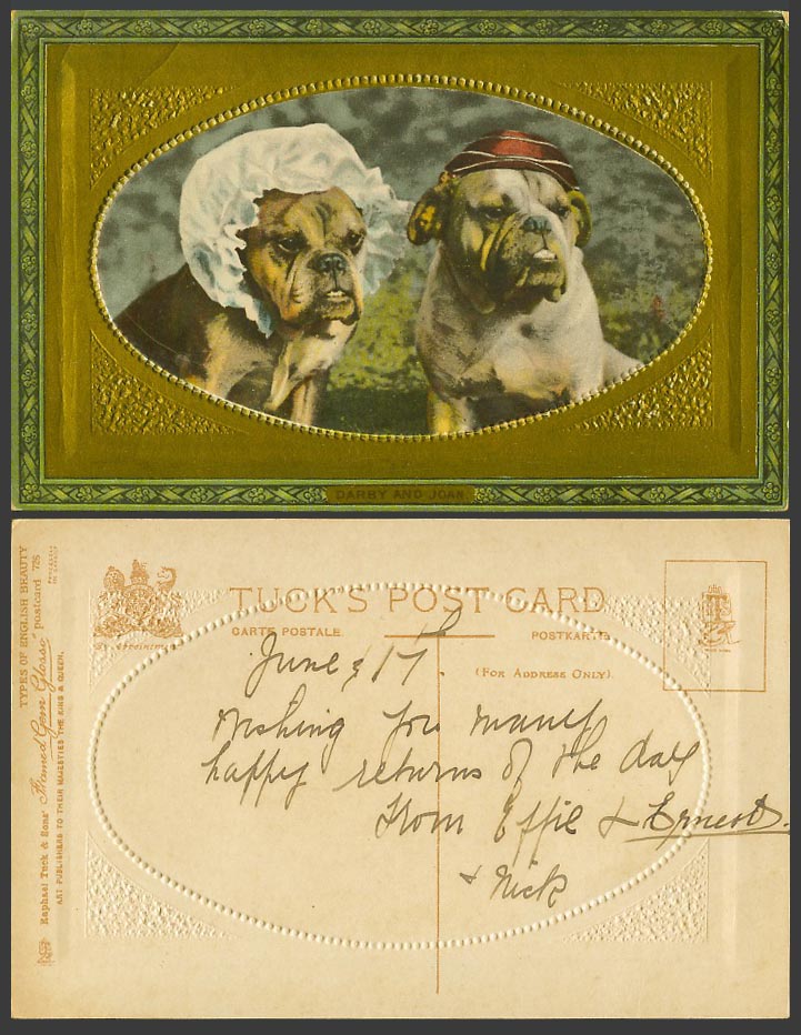 Bulldog Bull Dog Puppy Dogs Darby & Joan Hats English Beauty Old Tuck's Postcard