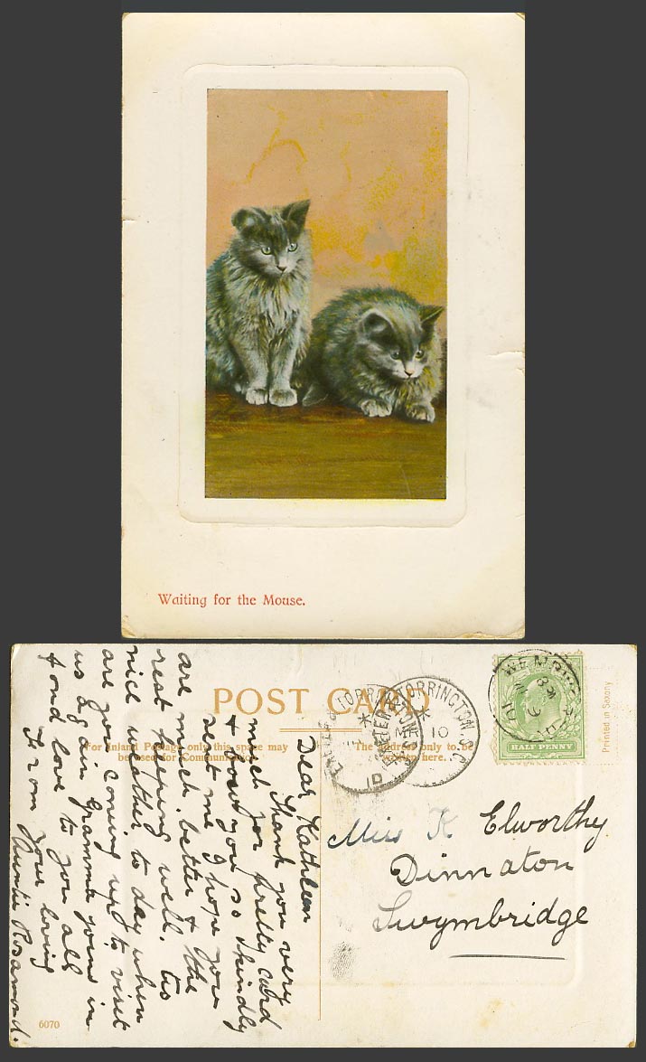 2 Cats Kittens Waiting for the Mouse 1910 Old Postcard Cat Kitten Pets Animals