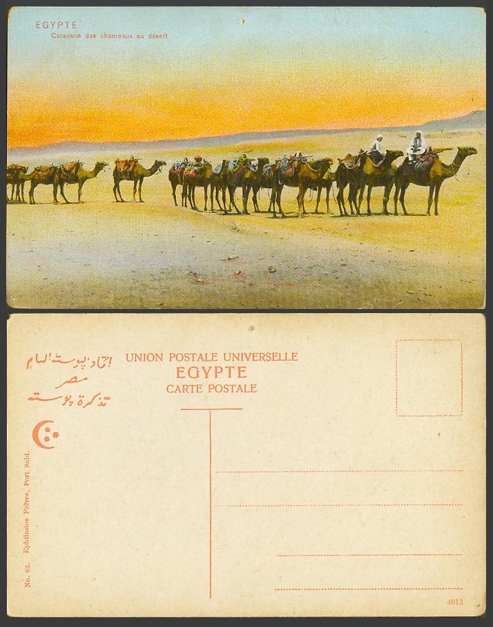 Egypt Old Colour Postcard Camels & Camel Caravan Caravane des Chameaux au desert