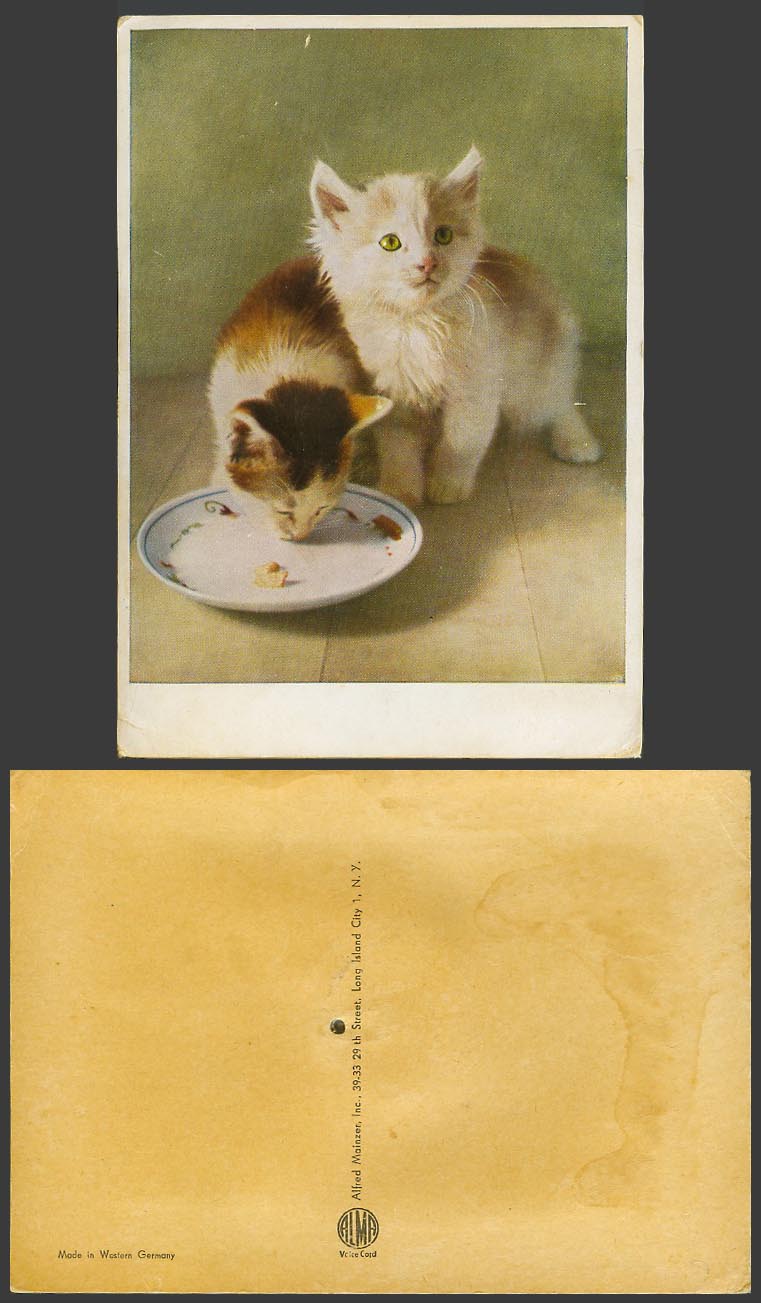 Squeaking Squeaky Squeaker Novelty Old Postcard Cats Kittens & Milk Dish, Kitten