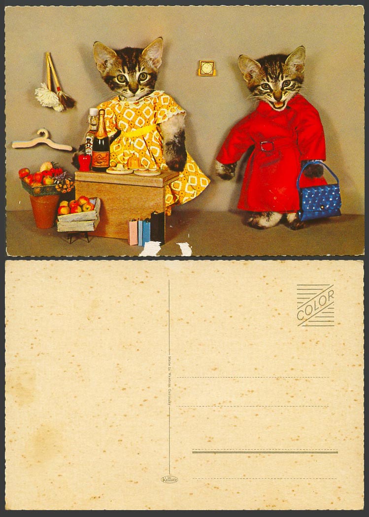 Dressed Cats Kittens, Apples, Wine Bottle Handbag Old Colour Postcard Cat Kitten