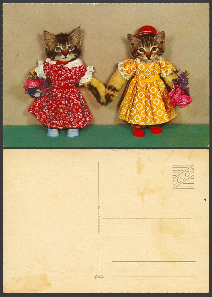 Dressed Cats Kittens with Flowers, Dress Hat Old Colour Postcard Cat Kitten Pets