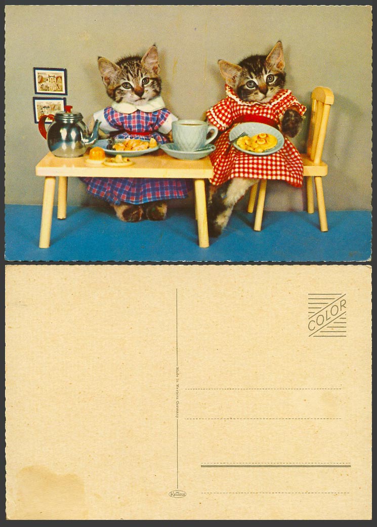 Dressed Cats Kittens Kettle Teapot Tea Cup Saucer Old Colour Postcard Cat Kitten