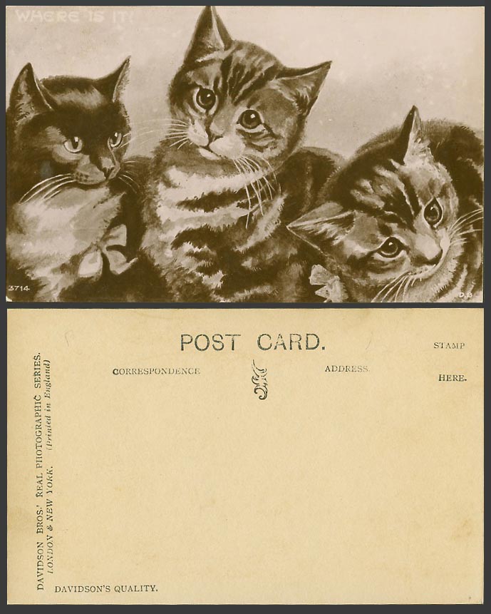3 Cats Kittens Cat Kitten, Where is it? Art Artist Drawn Old Real Photo Postcard