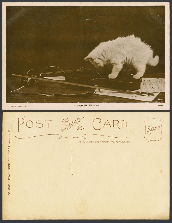 Cat Kitten on Violin Musical Instrument, A Broken Melody Old Real Photo Postcard