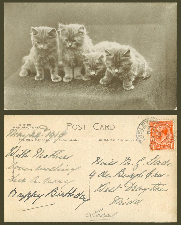 4 Kittens Cats Cat Kitten Pet Pets Animal Animals KG5 1d stamp 1919 Old Postcard