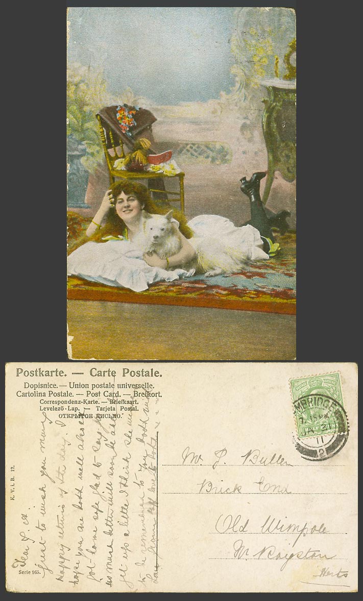 White Dog Puppy and Glamour Lady Woman Girl Rug Carpet Chair Old Colour Postcard
