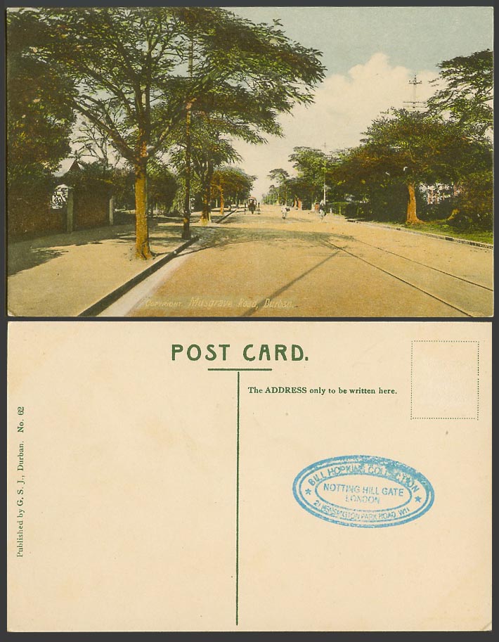 South Africa Old Colour Postcard Musgrave Road, Durban, Street Scene, Tramlines