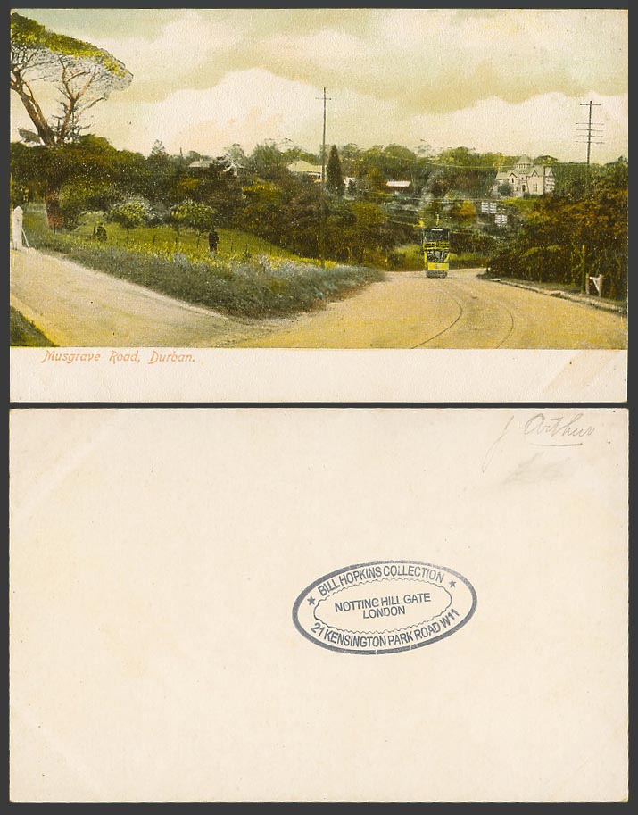 South Africa Old Colour Postcard Musgrave Road, Durban, Street Scene and TRAM