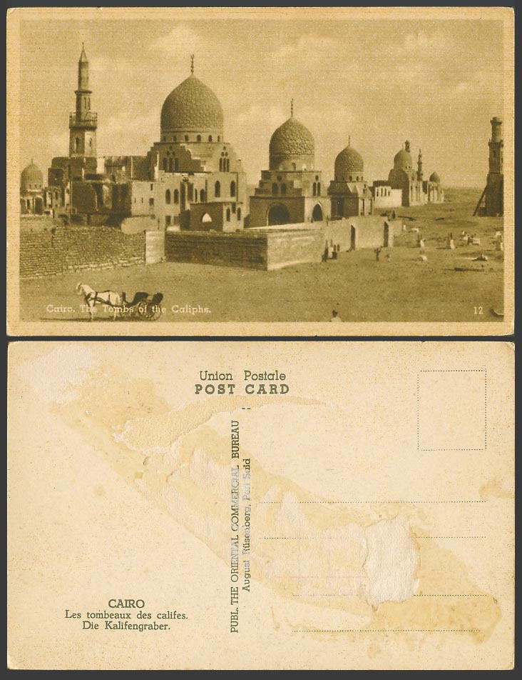 Egypt Old Postcard Le Caire Cairo The Tombs of Caliphs White Horse Cart Carriage