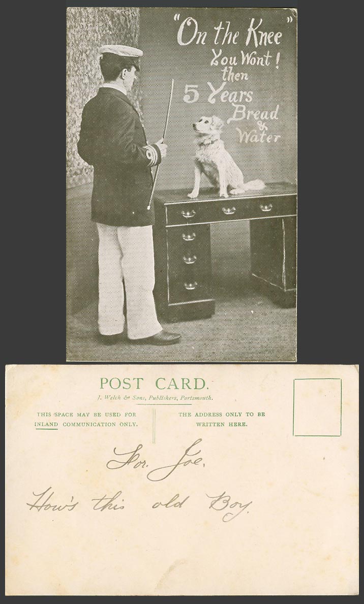 Dog Puppy On The Knee You Wont Then 5 Years Bread & Water Desk Whip Old Postcard
