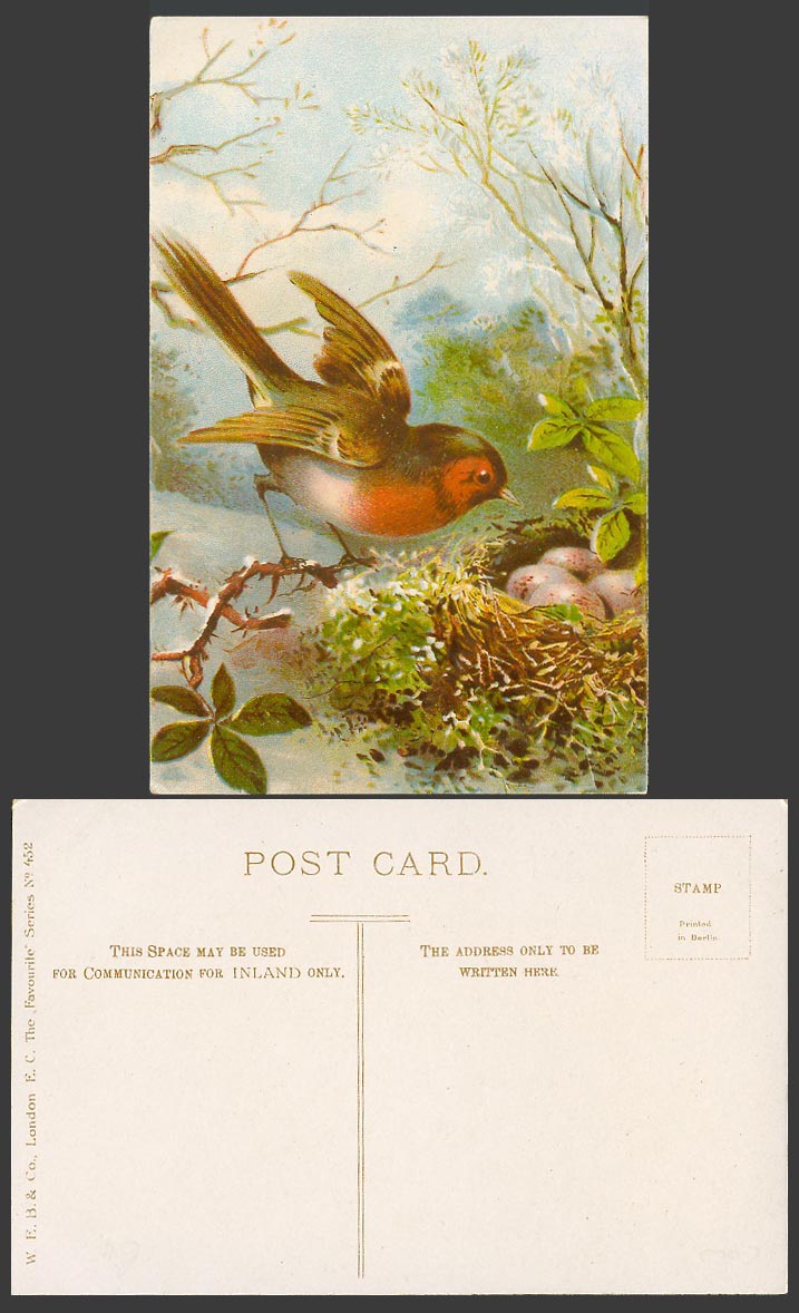ROBIN BIRD Nest Eggs Robins Birds Art Artist Drawn Old Colour Postcard W.E.B. Co