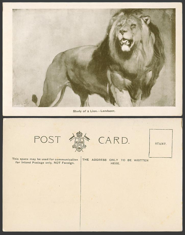Study of a Lion Landseer National Gallery Old ART Postcard The Wellington Series