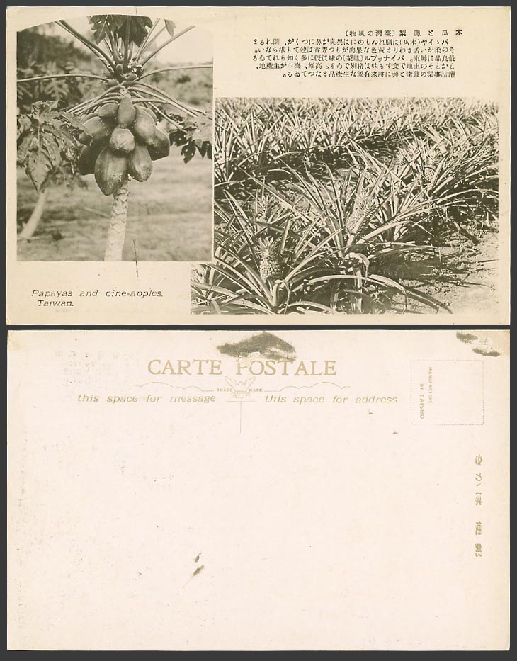Formosa China Taiwan Old Postcard Papayas Pine-apples Pineapple Taiwanese Fruits