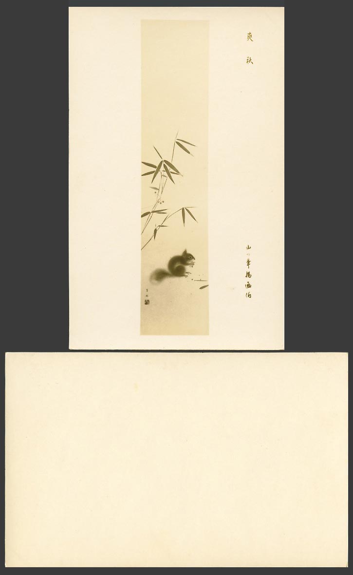 Japan Artist Drawn Old Real Photo Postcard Squirrel eating Bamboo Cool Autumn 爽秋