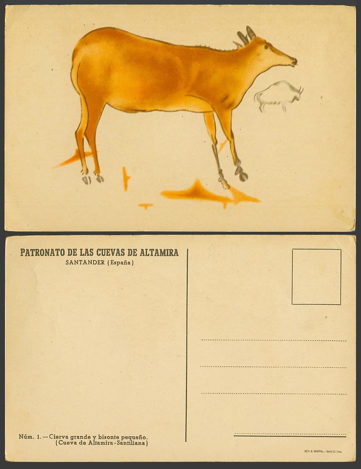 Spain Old Postcard Cave Cueva de Altamira Santillana, Large Deer and Small Bison