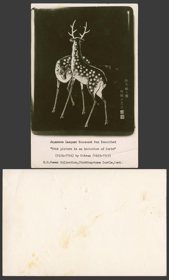 Japan Old Postcard DEER on Japanese Lacquer Document Box Korin Ritsuo D.E. Bower