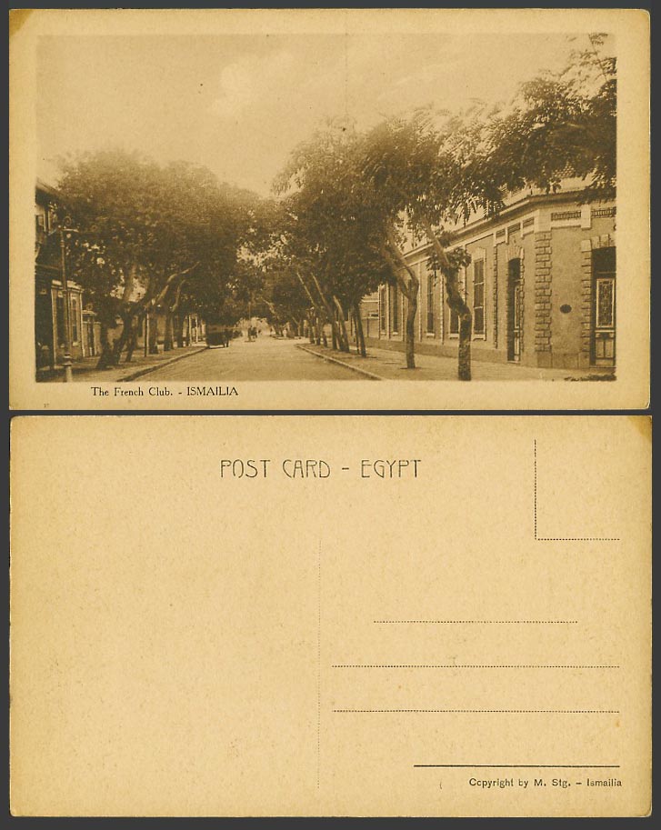 Egypt Old Postcard Ismailia The French Club Tree-Lined Street Scene Trees M. Stg