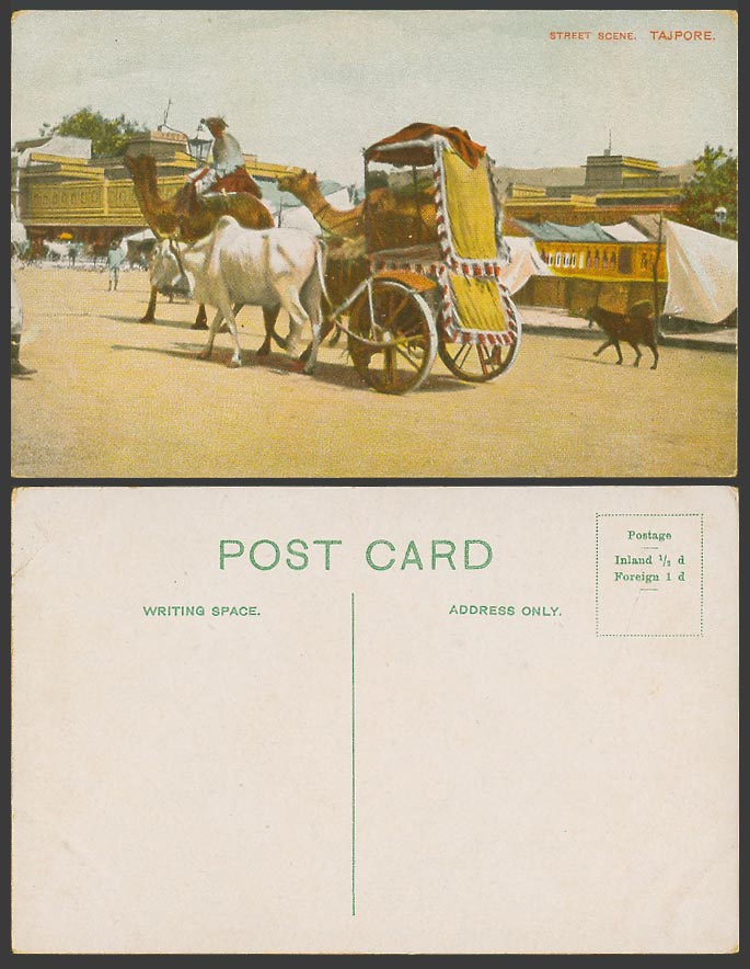 India Old Colour Postcard TAJPORE Tanjore Street Scene, Dog Bull Ox Cattle Camel