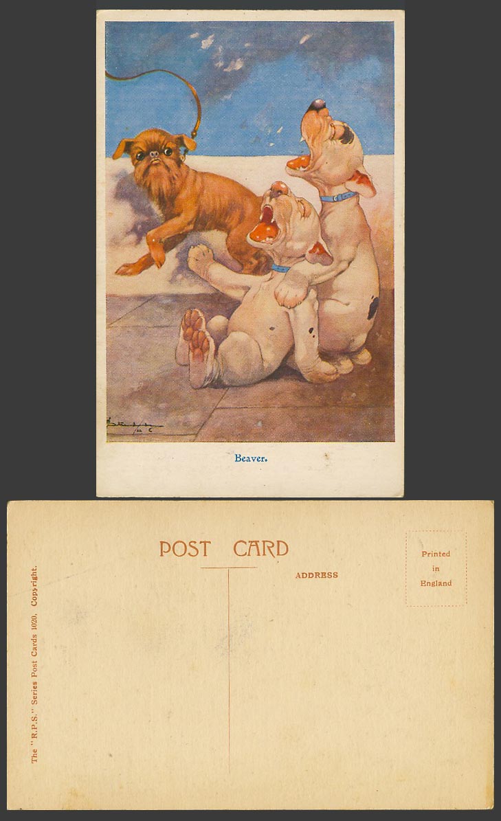 BONZO DOG GE Studdy Old Postcard BEAVER Brussels Griffon Puppy Dogs Puppies 1020