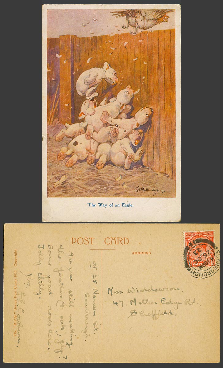 BONZO DOG GE Studdy 1923 Old Postcard The Way of an Eagle Chicken Bird Wall 1015