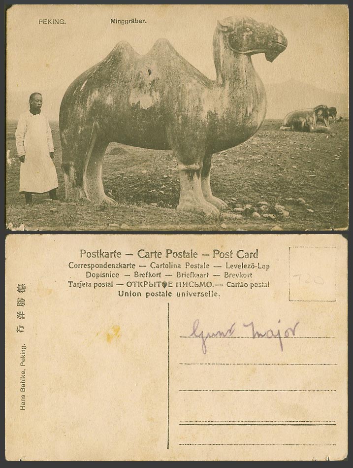 China Old Postcard Chinese Ming Tombs Peking Camel Elephant Chinaman Minggraeber
