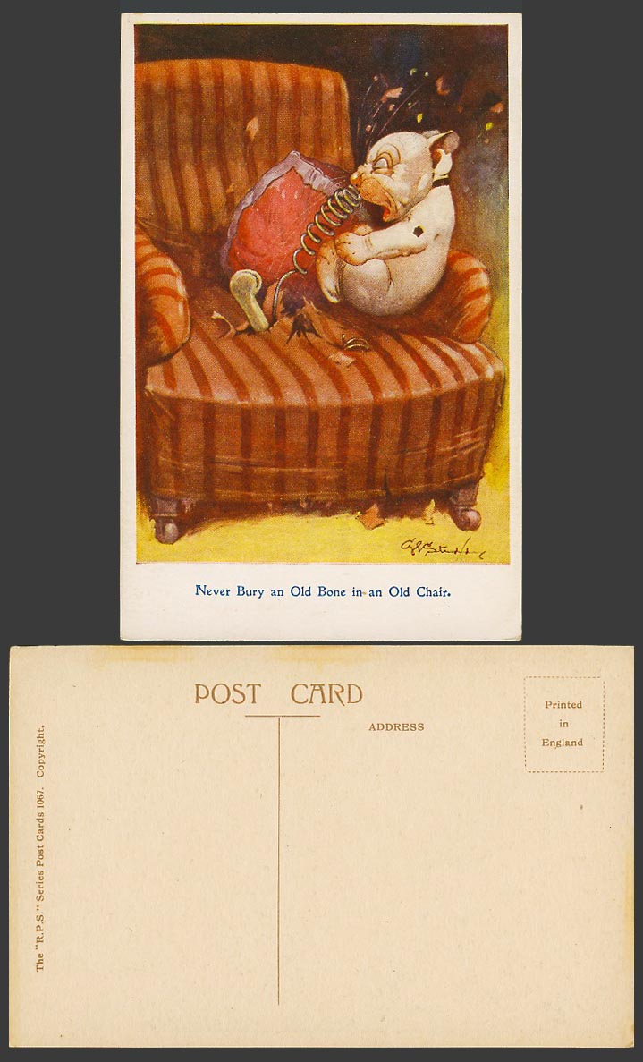 BONZO DOG GE Studdy c.1920 Old Postcard Never Bury an Old Bone in Old Chair 1067