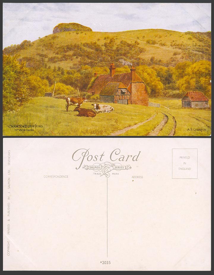 A.R. Quinton Old Postcard Chanctonbury Ring, Worthing Sussex Cow Cattle ARQ 2035