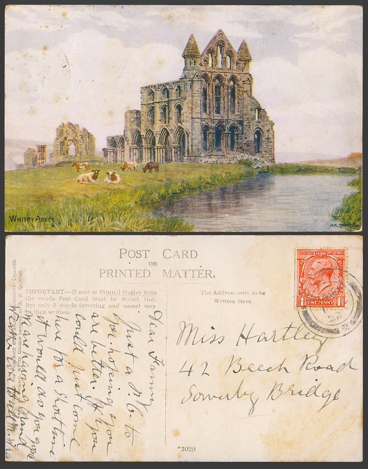 AR Quinton 1922 Old Postcard WHITBY ABBEY, Cattle Cow by Ruins River Yorks. 2029