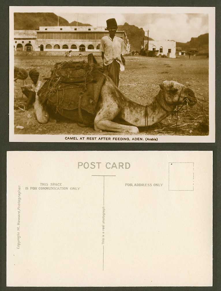 Aden Old Real Photo Postcard Camel at Rest After Feeding Arabia, Native Boy, Hat