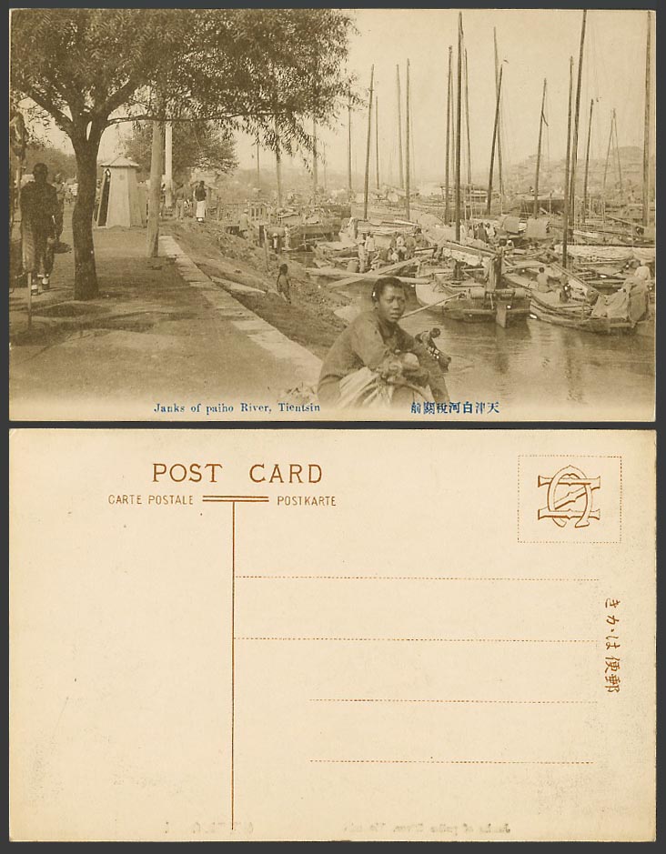 China Old Postcard Tientsin Chinese Junks Paiho River before The Customs 天津白河稅關前