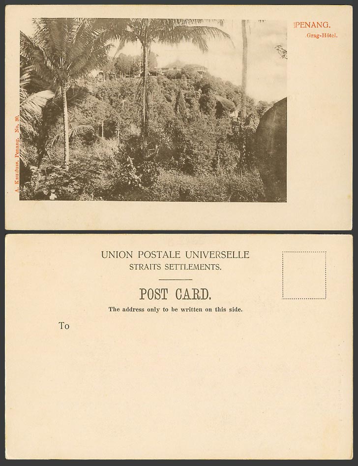 Penang Old UB Postcard THE CRAG HOTEL Palm Trees Hill Straits Settlements Malaya