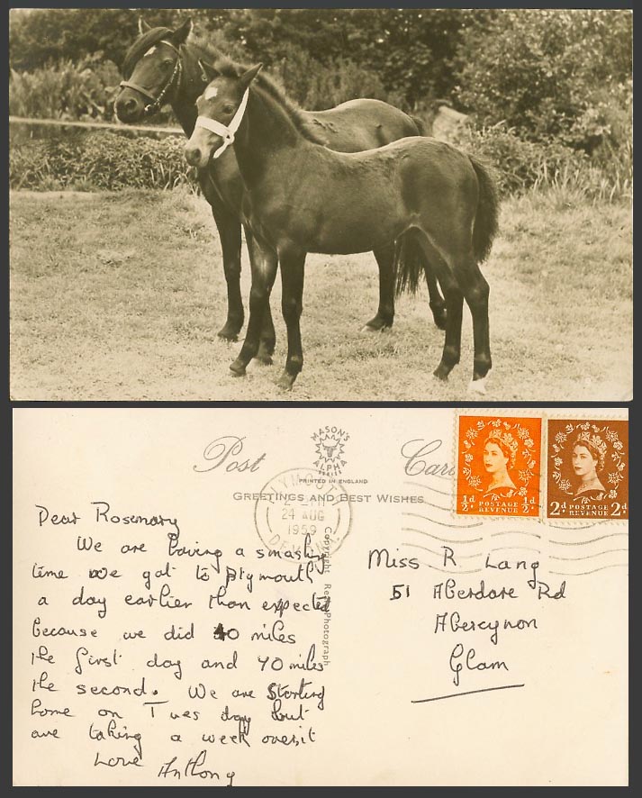 Horse Pony Horses Ponies, Animals, QEII 1/2d and 2d 1959 Old Real Photo Postcard