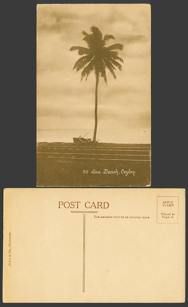 Ceylon Old Postcard Sea Beach, Palm Tree, Boats Railroad Railroads John & Co. 35