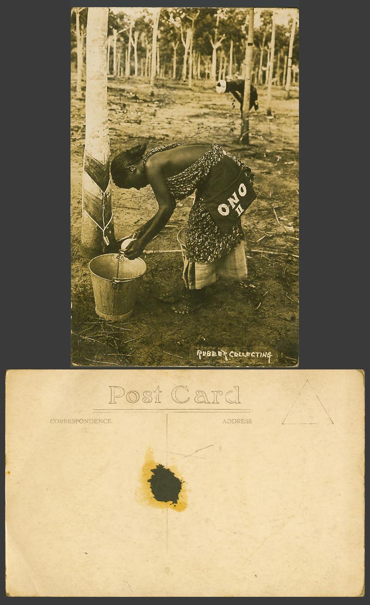 Singapore Old Real Photo Postcard Tapper, Rubber Collecting ONO II, Dutch Method