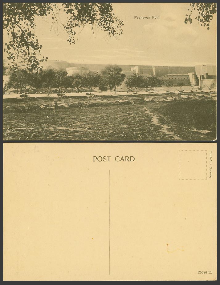 Pakistan Old Postcard Peshawar Fort Fortress Trees Panorama British India Indian