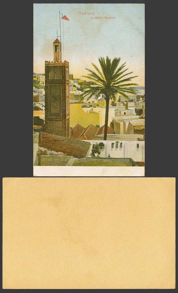 Morocco Old Colour Card Tanger Tangier La Grande Mosquee Great Mosque, Palm Tree