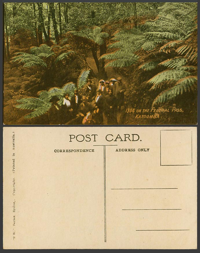 Australia 1904 Old Colour Postcard On The Federal Pass Katoomba Ferns Fern Trees
