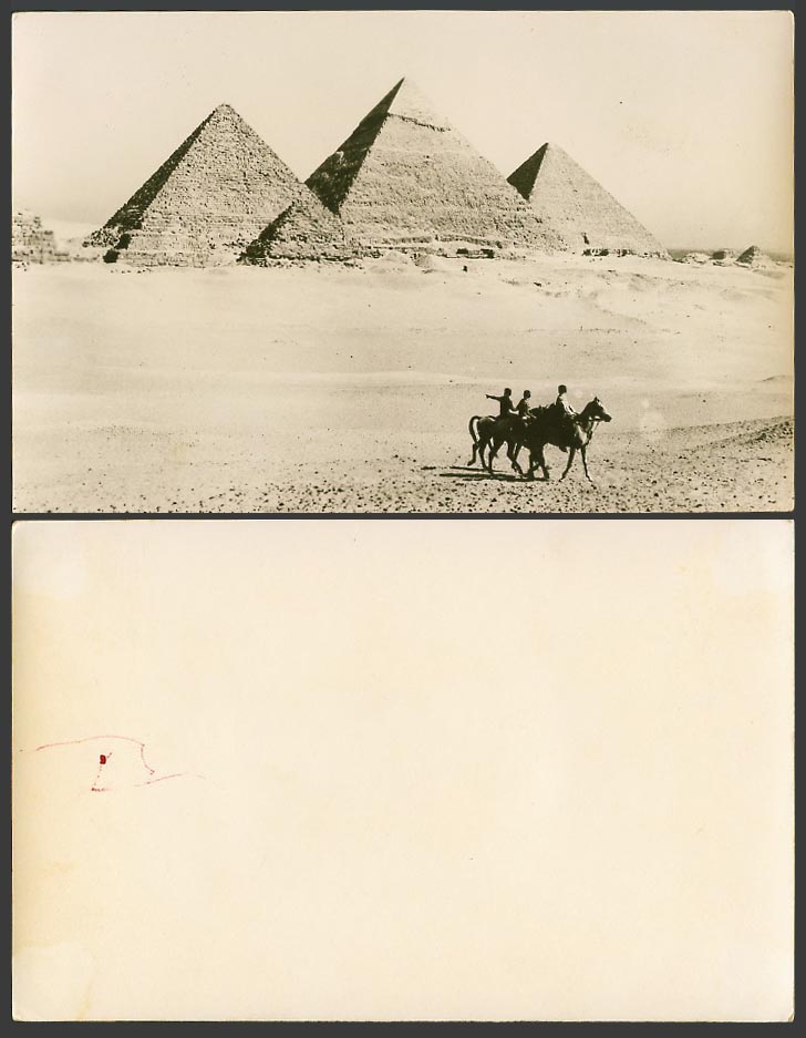 Egypt Old Real Photo Postcard Cairo Pyramids Gizeh Giza, Arab Horse Desert Dunes