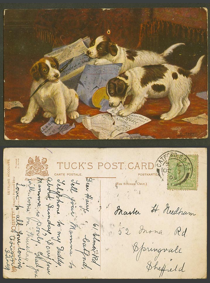 B Cobbs Artist Signed Old Tuck's Oilette Postcard Dogs Puppies Settling Accounts