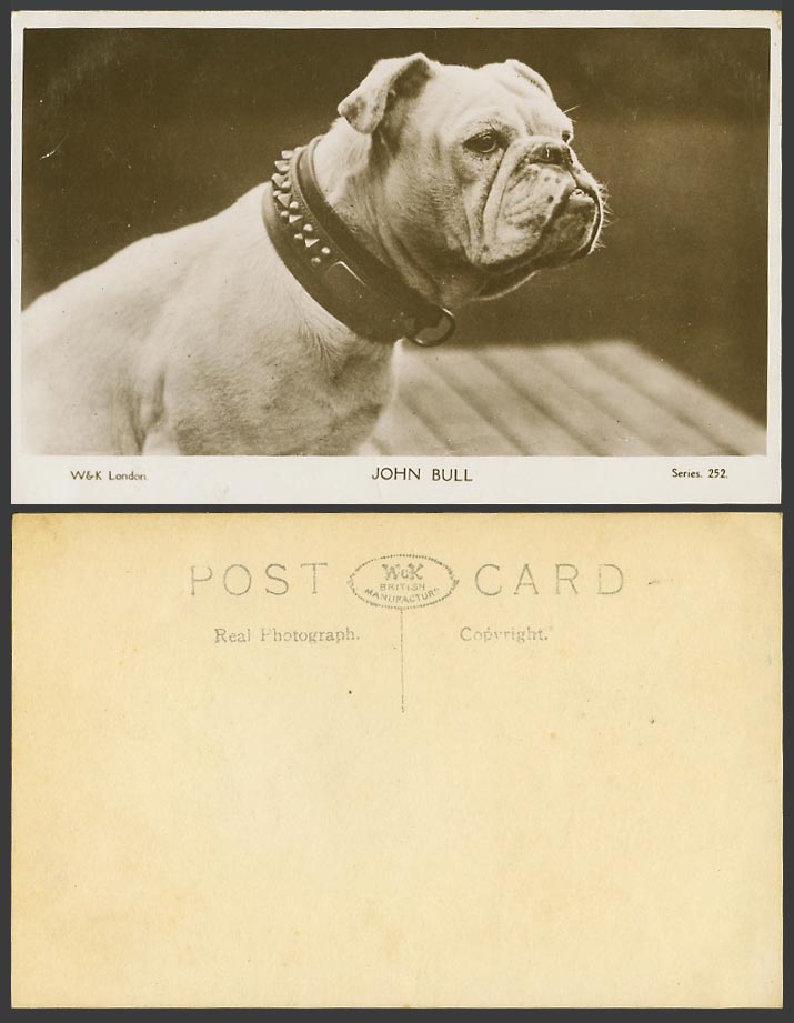 Bulldog Bull Dog Collar John Bull Old Real Photo Postcard Puppy Pet Animal W & K