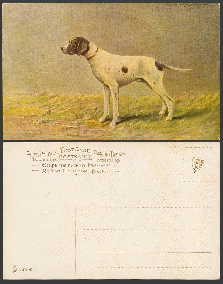 Mueller Jun Munchen Artist Signed Old Postcard Beautiful Hunting Dog, Animal ART