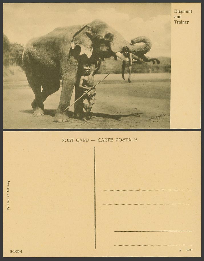 Ceylon Old Postcard Child Hang on Temple Elephant's Teeth and Native Trainer Man
