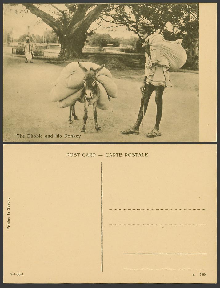 India Old Postcard The Dhobie and His Donkey Native Washerman Street Scene Trees