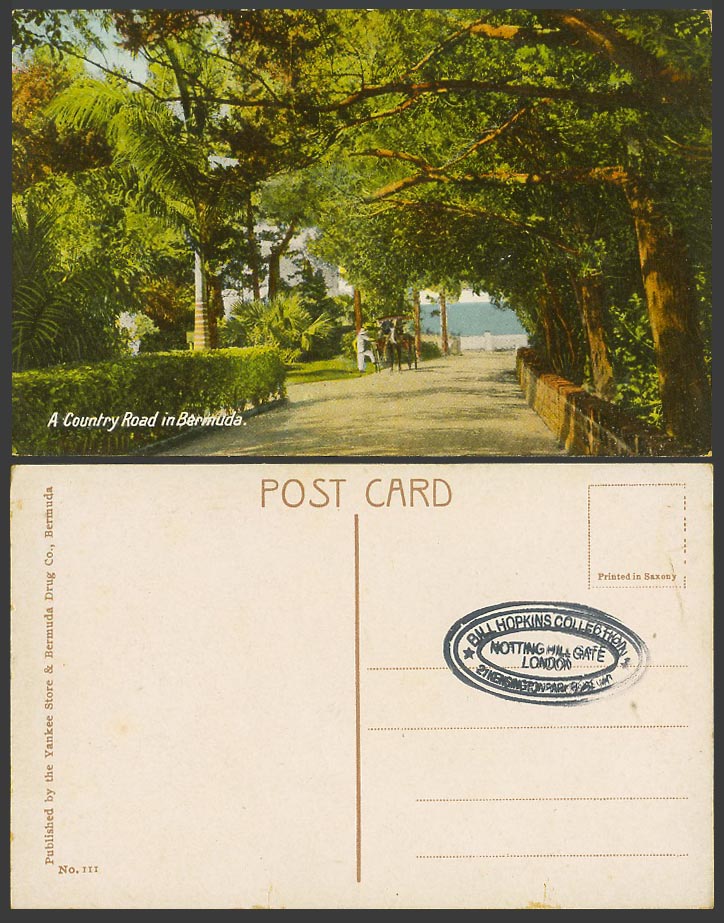 Bermuda Old Colour Postcard Country Road Street Scene Cart, The Yankee Store 111